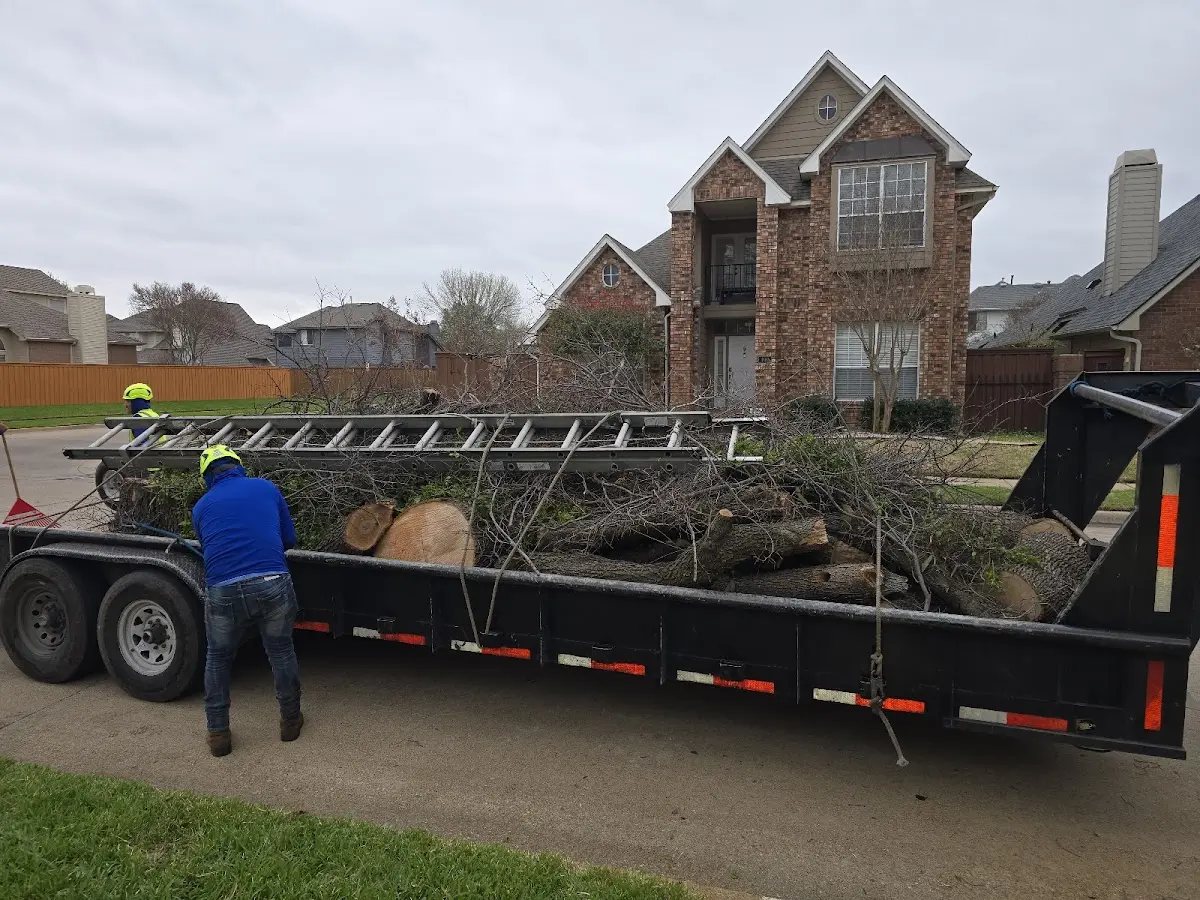 Expert Tree Fertilization with proper safety equipment in Peaster